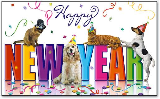 New Year, New Goals: 8 New Year's Resolutions for Your Pet - Vet in Fairfax  California