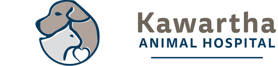 Kawartha Animal Hospital